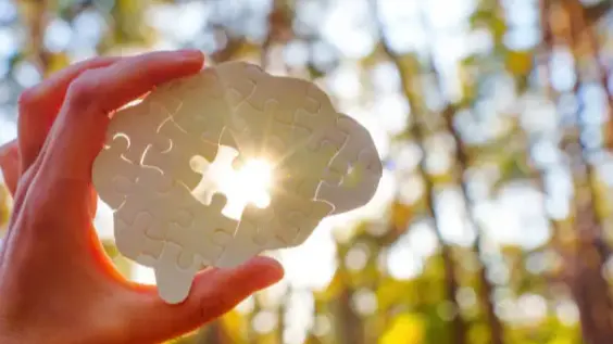 Le cerveau derrière les décisions stratégiques